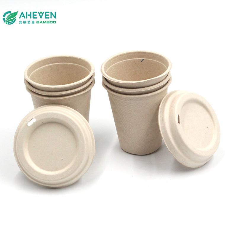 bagasse cups